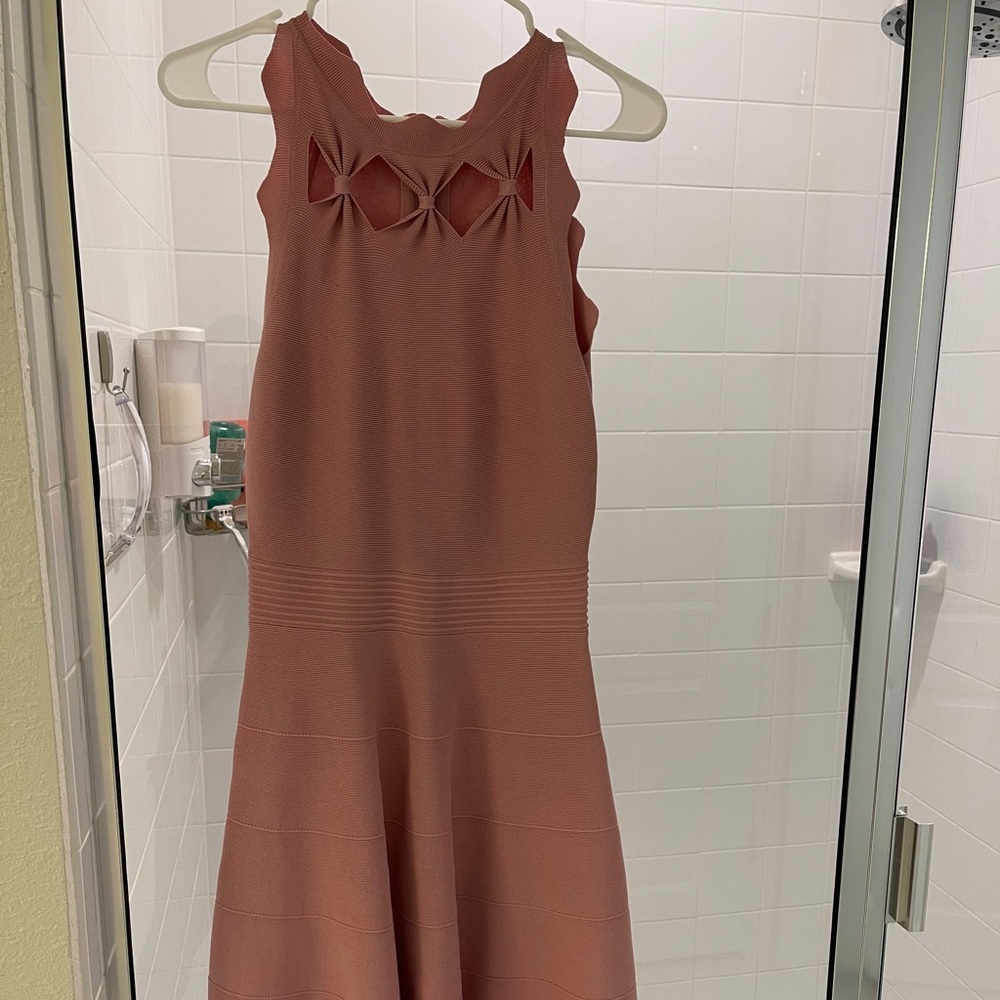 NWOT Blush Pink Ted Baker fitted dress